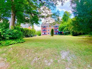 COMMUNAL GARDEN- click for photo gallery